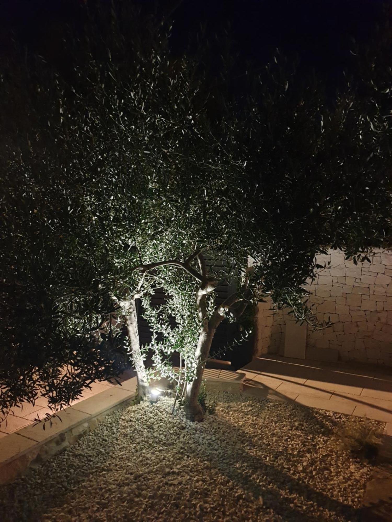 Villa Sarah Supetar Dış mekan fotoğraf